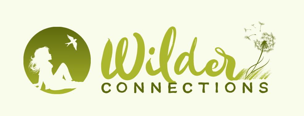 Wilder Connections logo
